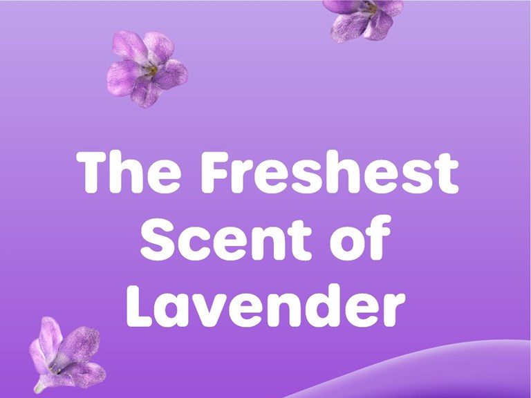 Scott® Comfort Plus with Soft Lavender Scented Tube