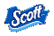 Scott® Absorbent Paper Towels | Scott® US